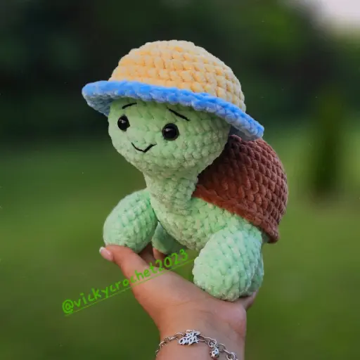 Turtle explore